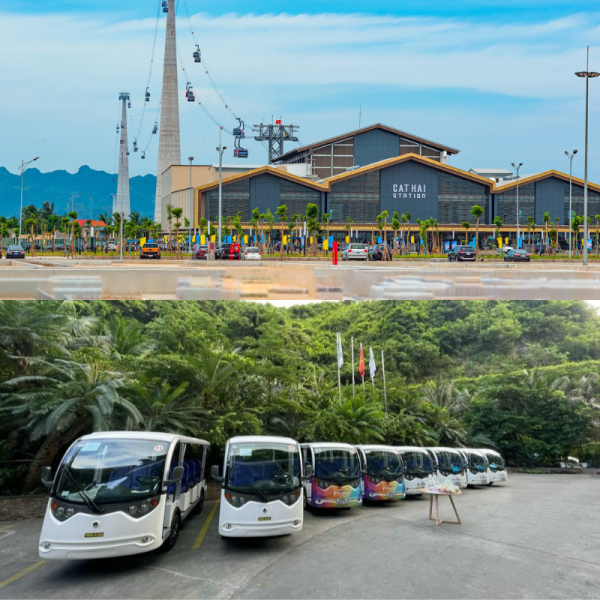 Combo ve cáp treo & xe bus Cát Bà