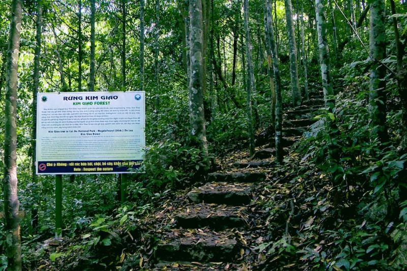 Tuyến đường Kim Giao – Đỉnh Ngự Lâm