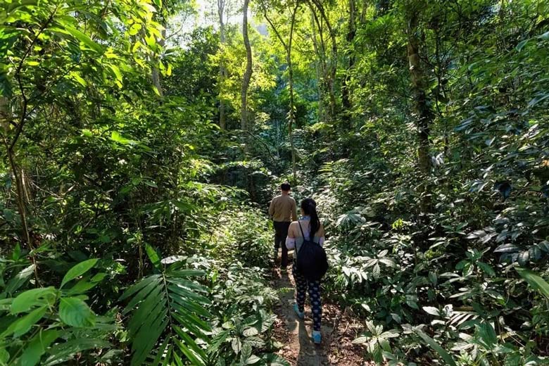 Trekking lên đỉnh núi Đảo khỉ