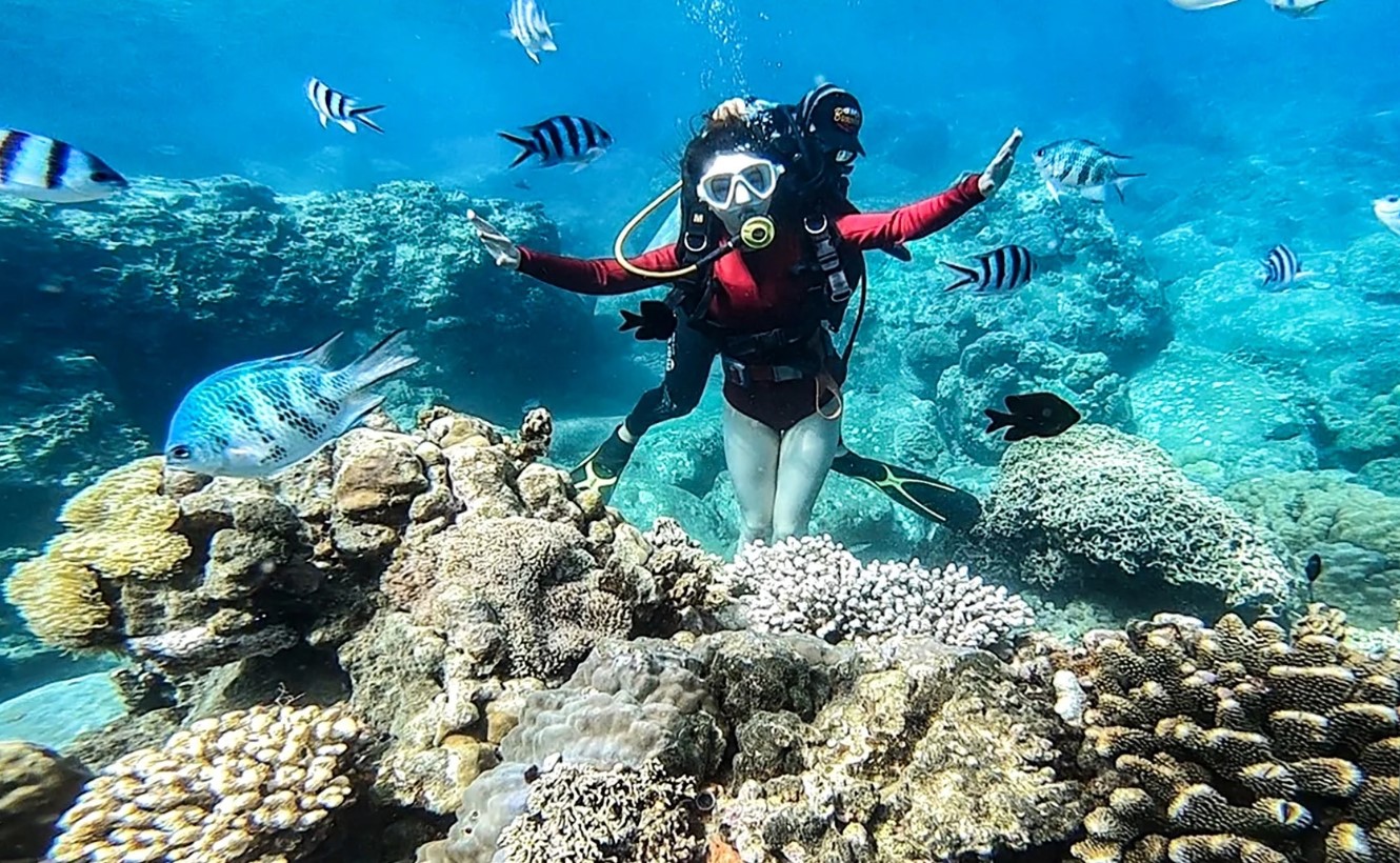 Trải nghiệm lặn biển ngắm san hô