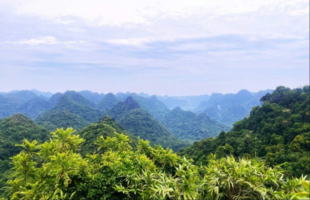 Khám phá rừng quốc gia Cát Bà - Cát Bà National Park
