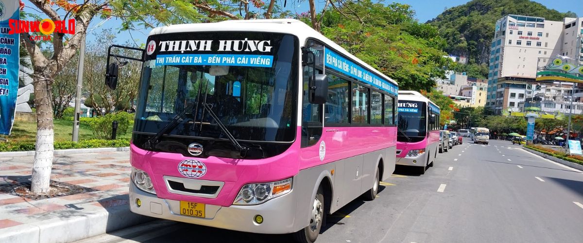 Xe bus địa phương ở Cát Bà luôn sẵn sàng phục vụ