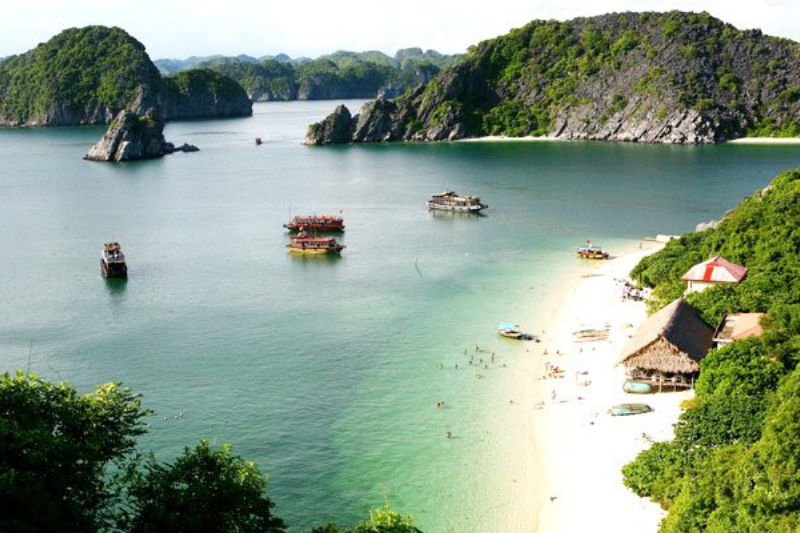 Đảo khỉ tại Cát Bà