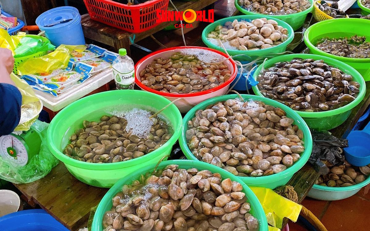 chợ hải sản cát bà