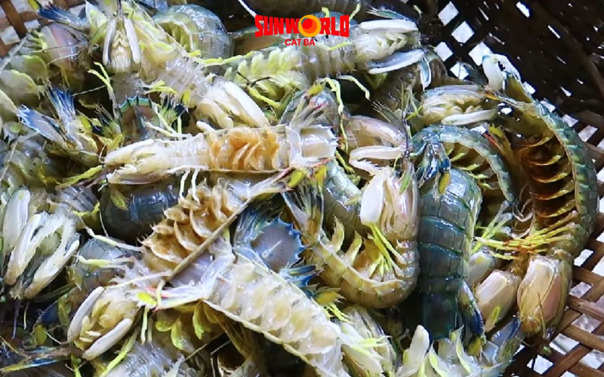 đặc sản ở cát bà