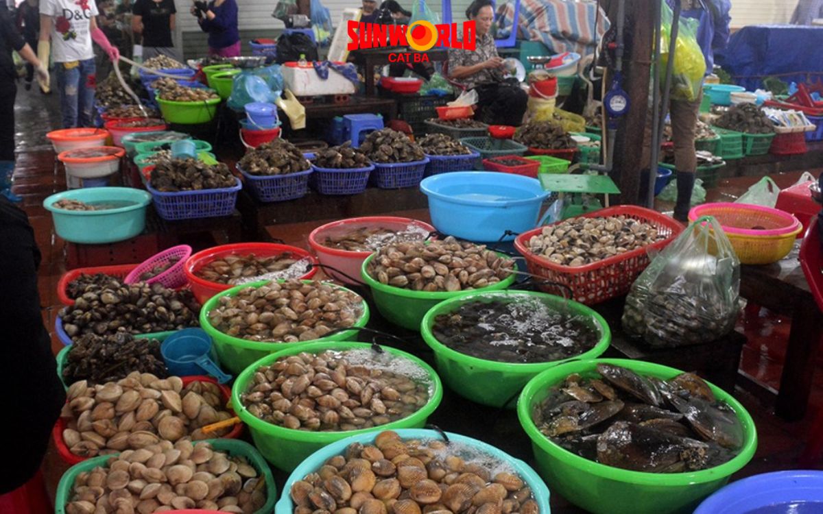 đặc sản cát bà