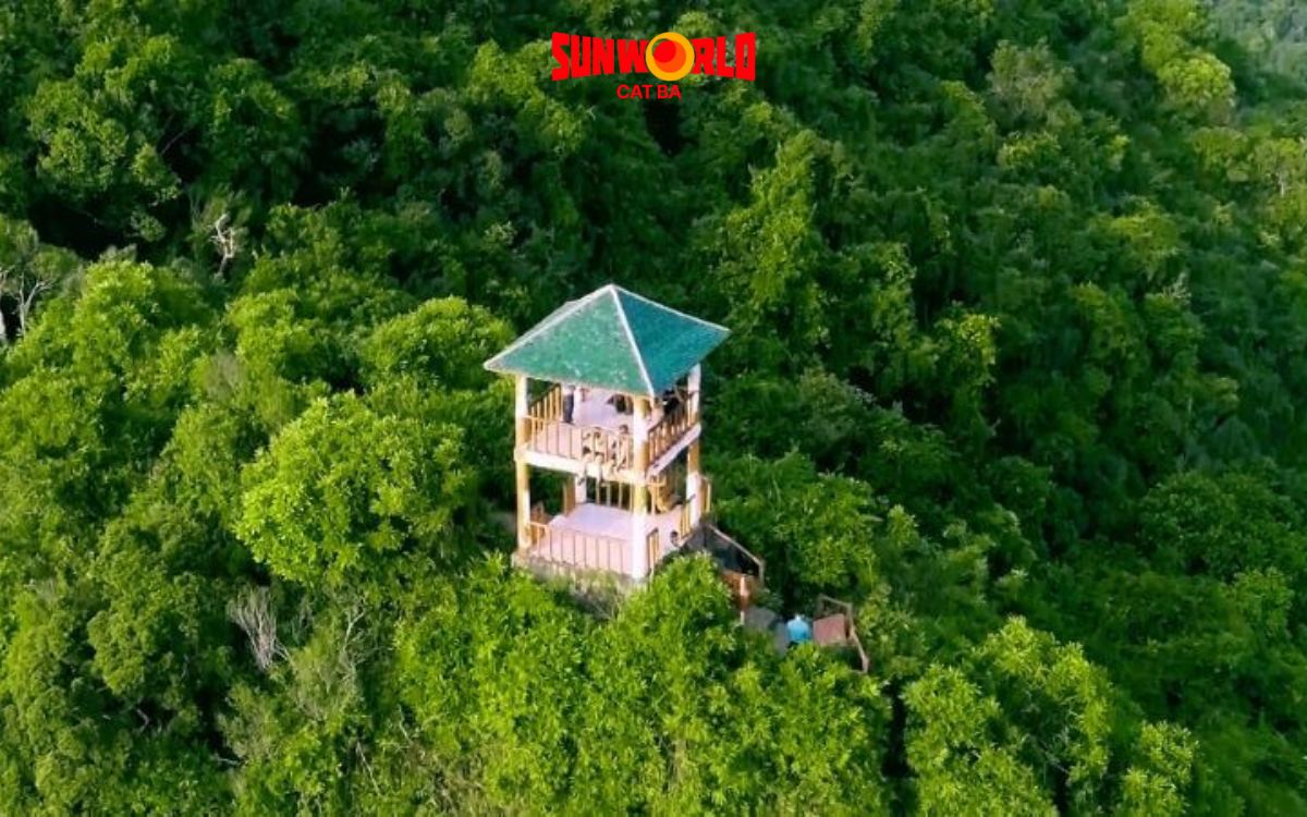 đỉnh hải quân cát bà