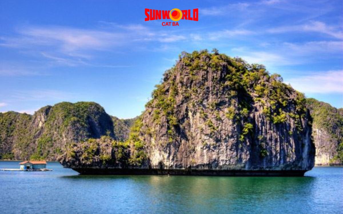 hòn rùa cát bà