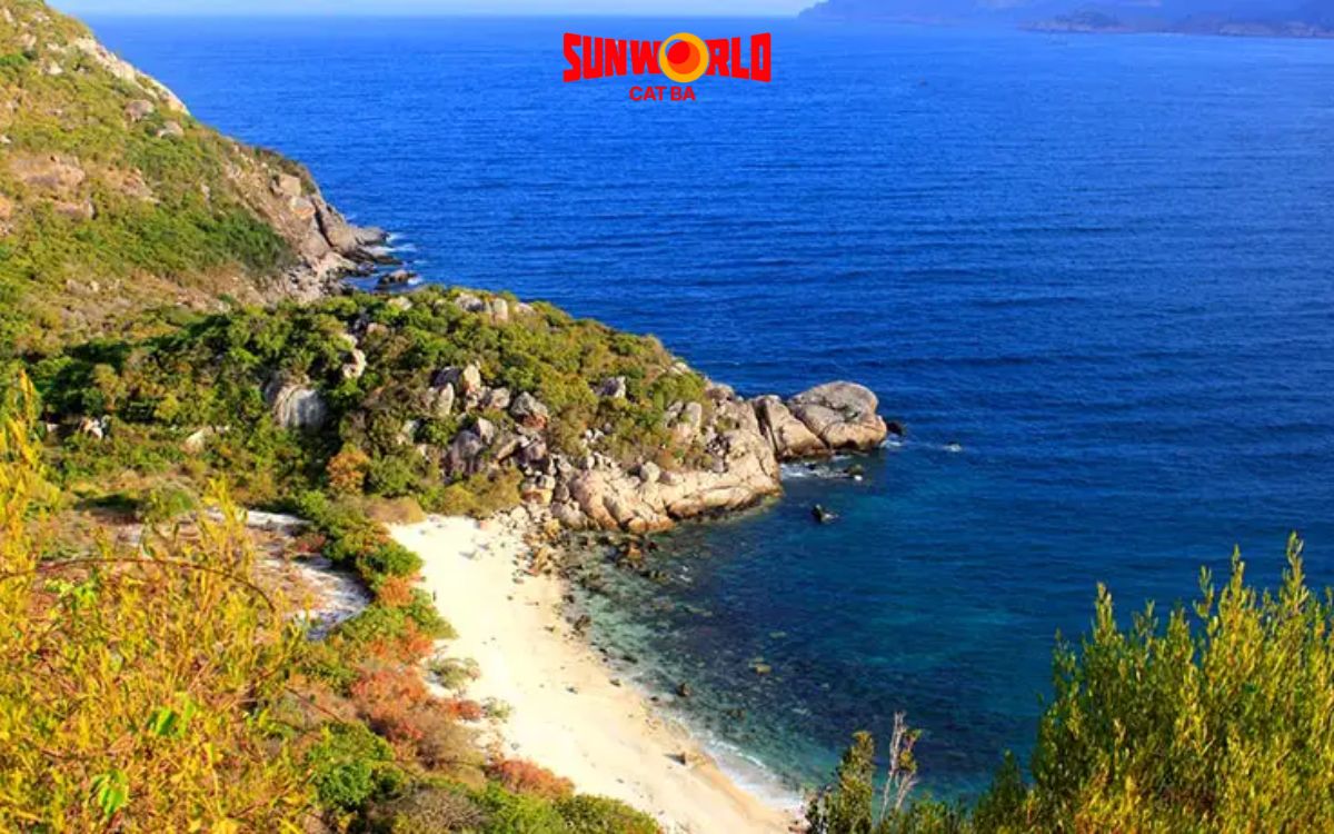 hòn rùa cát bà